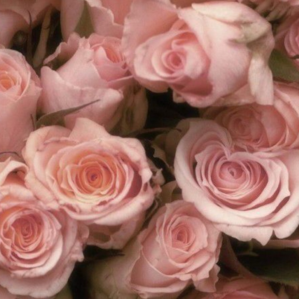 Meet your Posher, Honey